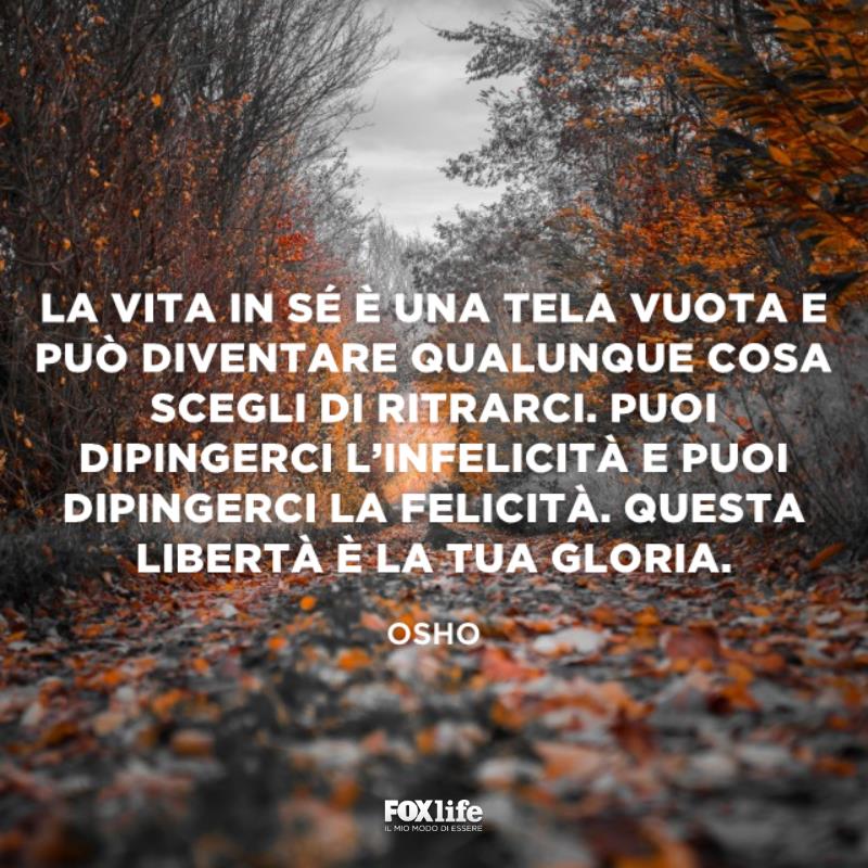 La vita è una tela vuota Bosco in autunno