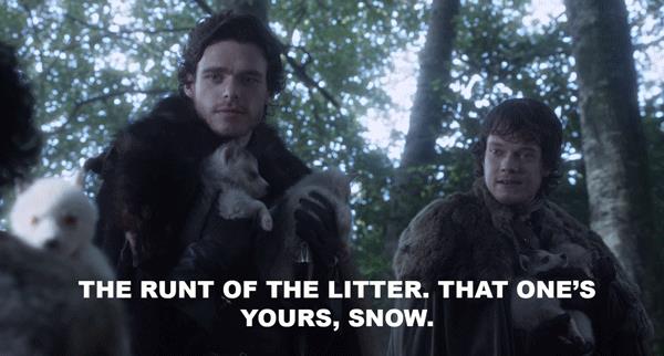 Theon e Jon Theon sfotte Jon sul metalupo