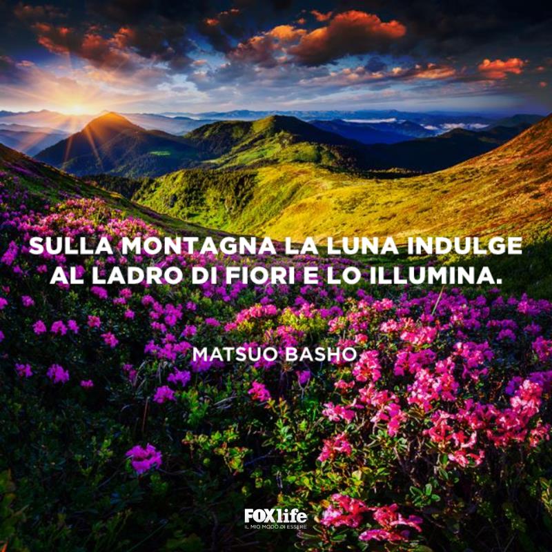 Frase Basho Prato di montagna fiorito