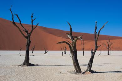 Da Città del Capo alla Namibia attraverso il deserto del Namib