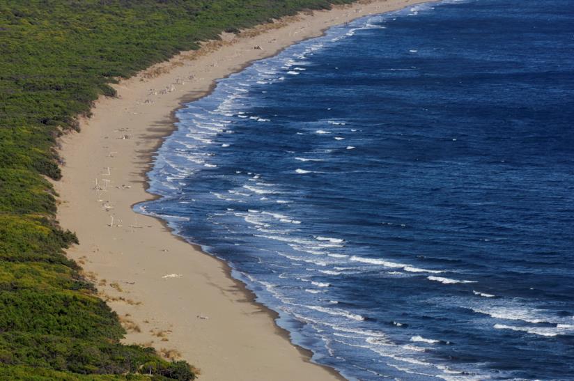 Le 10 Spiagge Più Belle Della Toscana E Come Raggiungerle