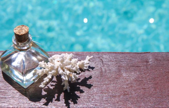 profumo di mare: 5 tendenze tutte da provare per scoprire l'odore dell'estate Profumo sull'orlo del mare