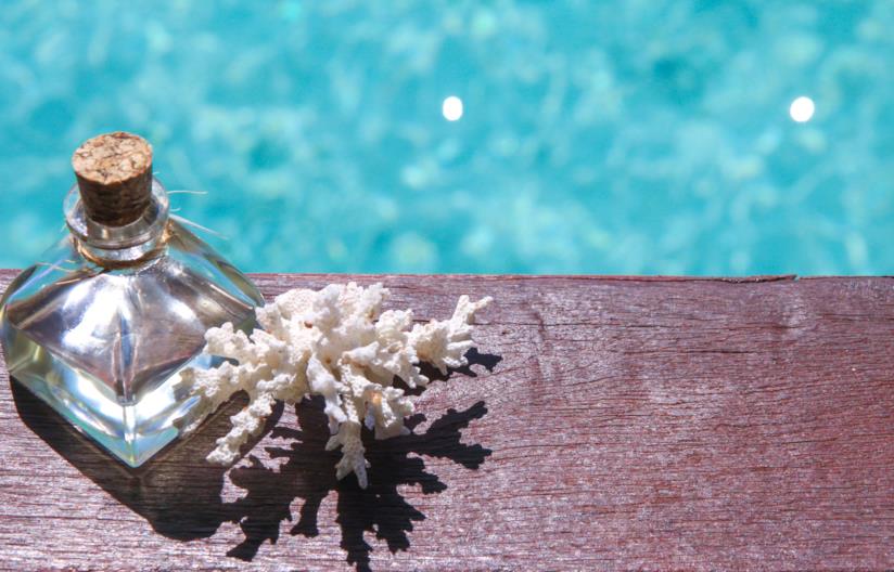 profumo di mare: 5 tendenze tutte da provare per scoprire l'odore dell'estate Profumo sull'orlo del mare