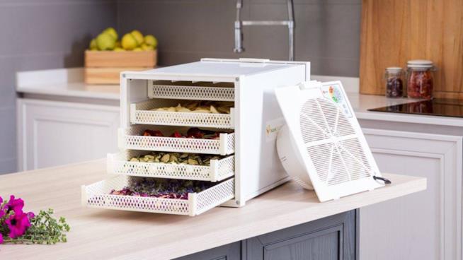 Essiccatori per la frutta Essiccatori per la frutta, come sceglierli e i migliori da comprare