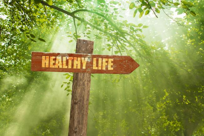 I dieci alimenti che ci mantengono giovani Cartello in una foresta con la scritta Healthy Life