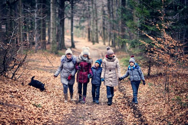 Idee per stare con i bambini Una famiglia nel bosco