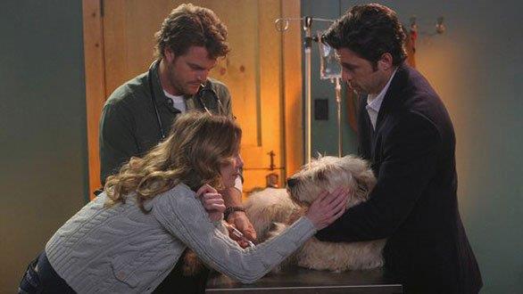 Doc dal veterinaio Finn con Meredith e Derek in Grey's Anatomy Doc dal veterinaio Finn con Meredith e Derek in una scena di Grey's Anatomy 2
