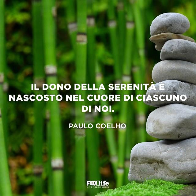 Frase sulla serenità Pietre in un bosco di bambù