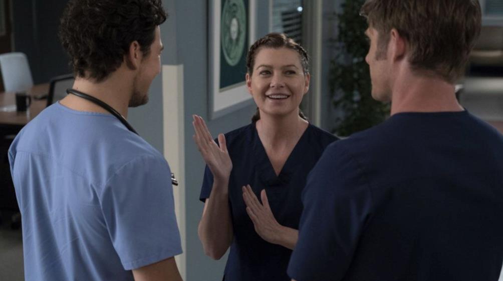 meredith link e andrew grey's anatomy