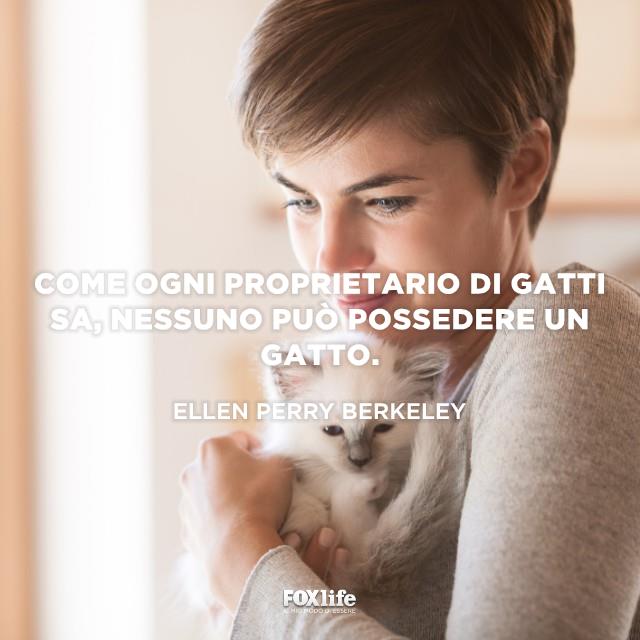 Frase Berkeley Donna tiene tra le braccia un gattino bianco