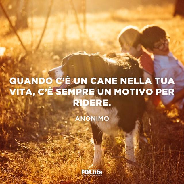 Frase vivere con un cane Cane gioca con dei bambini
