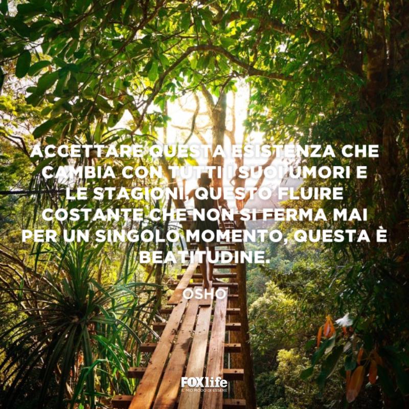 Accetta il cambiamento Ragazza su una pedana di legno