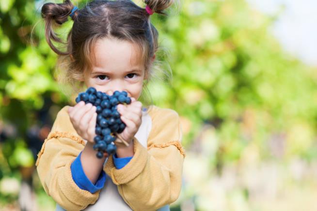 Settembre: idee per intrattenere i bambini Bambina con uva