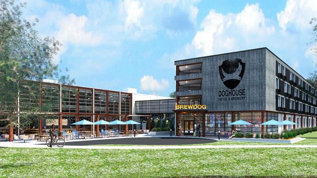 Hotel americano dedicato agli amanti della birra con spina in camera DogHouse Hotel & Brewery con birra in camera