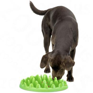 NORTHMATE ® Green Slow Feeder Ciotola