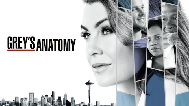 Svelata la trama della doppia season première di Grey's Anatomy 14 Un dettaglio del poster di Grey's Anatomy 14
