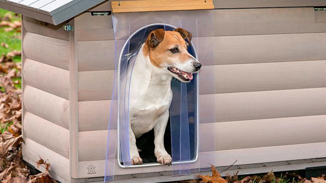 migliori cucce da esterno per cani le migliori cucce da esterno per il tuo cane