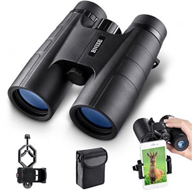 Binocolo Professionale BNISE 10x42 HD