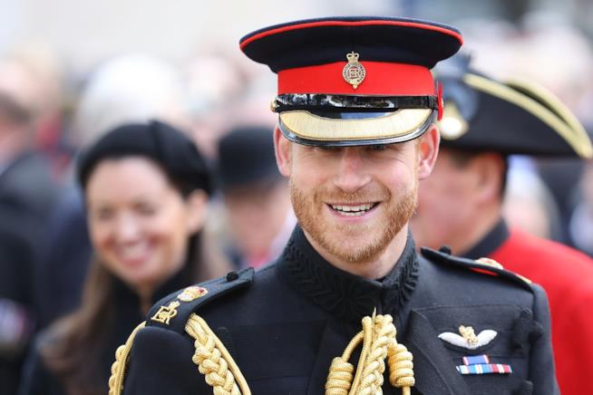Il video virale del Principe Harry che gioca con un cucciolo di cane Il Principe Harry