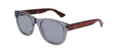 Transparent Grey Striped Havana/light Grey (005 I)
