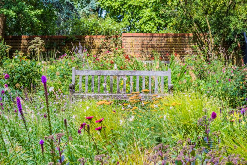 Fiori selvatici in giardino Un giardino con una panchina e fiori selvatici