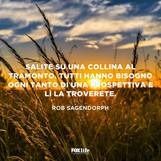 Frase Rob Steli di grano al tramonto