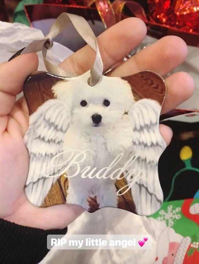 Demi Lovato ricorda il cane Buddy Demi Lovato e la decorazione dedicata al cane Buddy