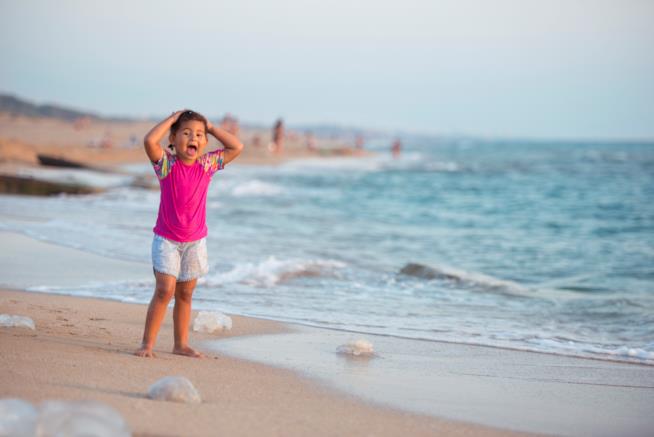 Rimedi efficaci contro le punture di medusa Bambino che urla in una spiaggia con le meduse