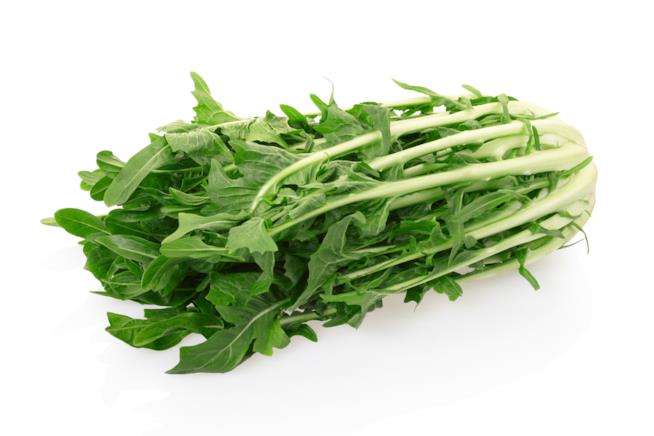 Cicoria Verdura con foglie verdi