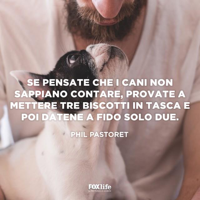 Frase Pastoret Cane alza il muso verso il viso del padrone