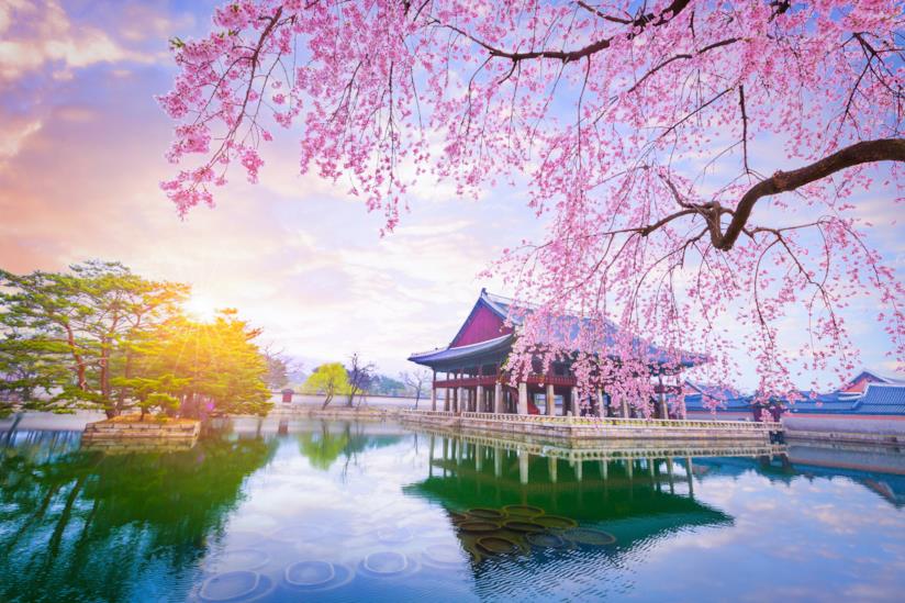 Il meraviglioso Palazzo di Gyeongbokgung Romantica Seul: il Palazzo di Gyeongbokgung