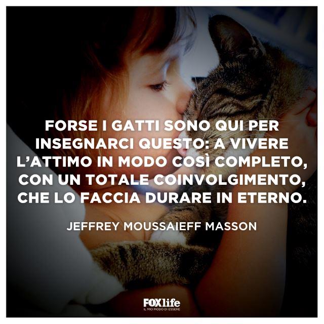 Frase Masson Una bambina bacia un gatto