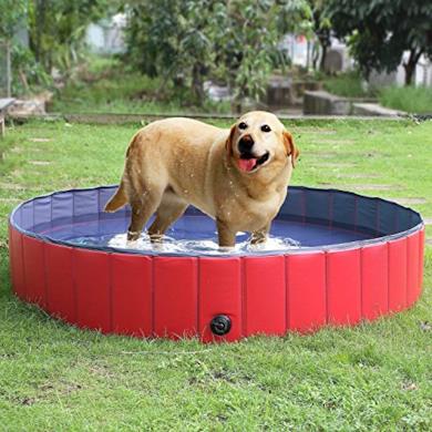 Piscina per cani e gatti
