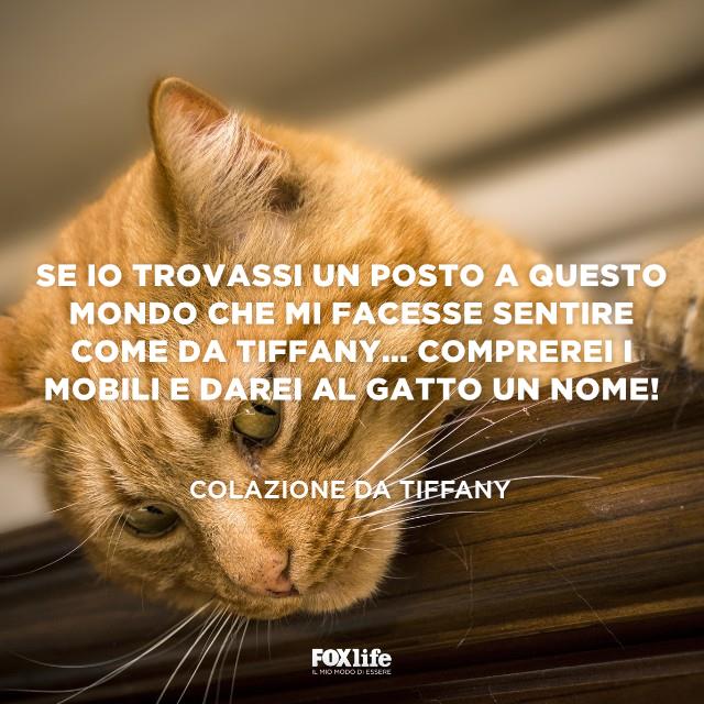 Citazione colazione da Tiffany Gatto su un mobile guarda verso terra