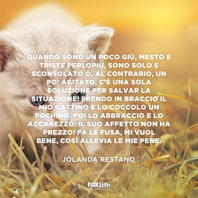 Poesia Jolanda Gattino cammina in un prato