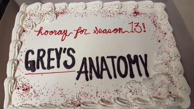 La torta con cui il cast ha festeggiando l'inizio di Grey's Anatomy 13 Grey's Anatomy sta per tornare con la stagione 13