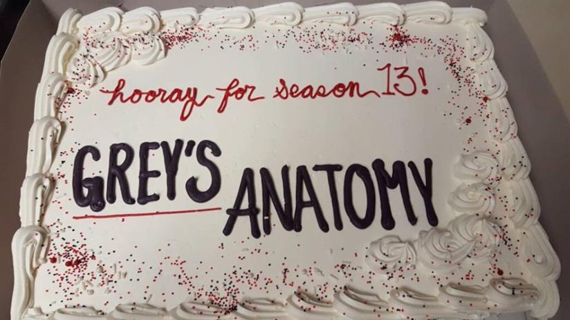 La torta con cui il cast ha festeggiando l'inizio di Grey's Anatomy 13 Grey's Anatomy sta per tornare con la stagione 13