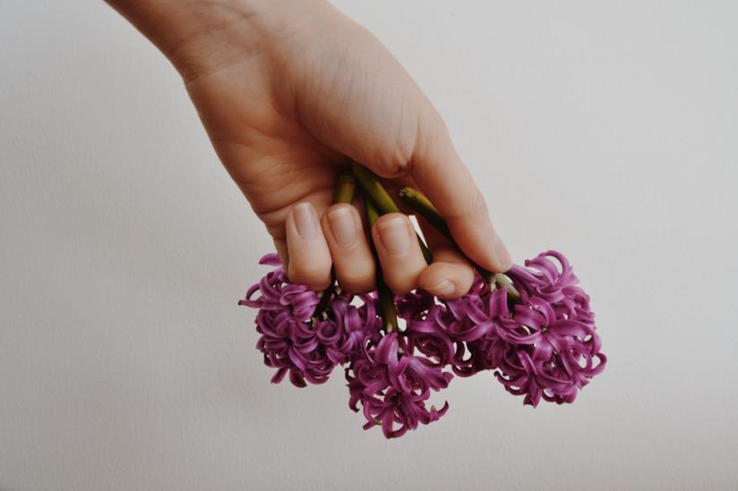 Mani con fiore Mani che stringono un fiore