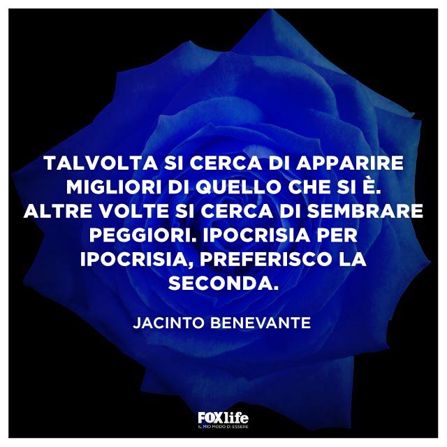 Frase Benevante Rosa blu in primo piano
