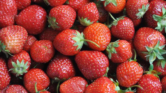 Fragole Fragole, alimento a zero calorie