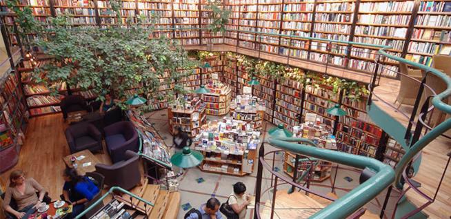 Librerie imperdibili: le più belle, le più particolari L'interno della libreria El Péndulo, in Messico