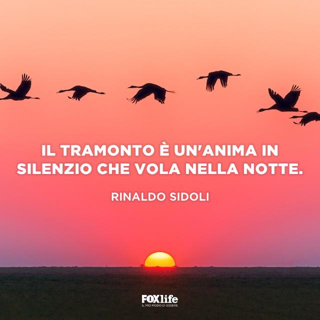 Frase Sidoli Tramonto con stormo di uccelli