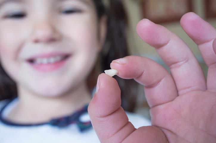 Caduta dei denti da latte Caduta dei denti da latte nei bambini