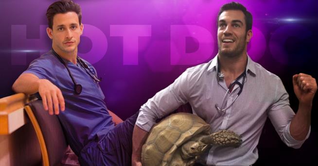 Mikhail Varshavski e Evan Antin sono stati eletti dalla Rete come i dottori più sexy Evan Antin e Mikhail Varshavski, i dottori più sexy della Rete