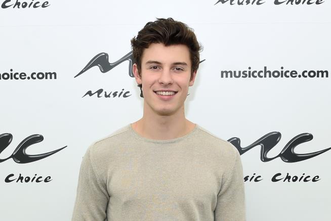Shawn Mendes Il cantante Shawn Mendes