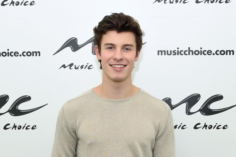 Shawn Mendes Il cantante Shawn Mendes