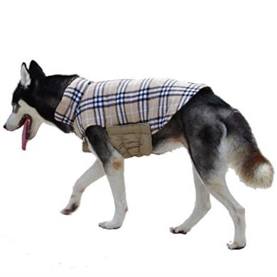 Cappotto check