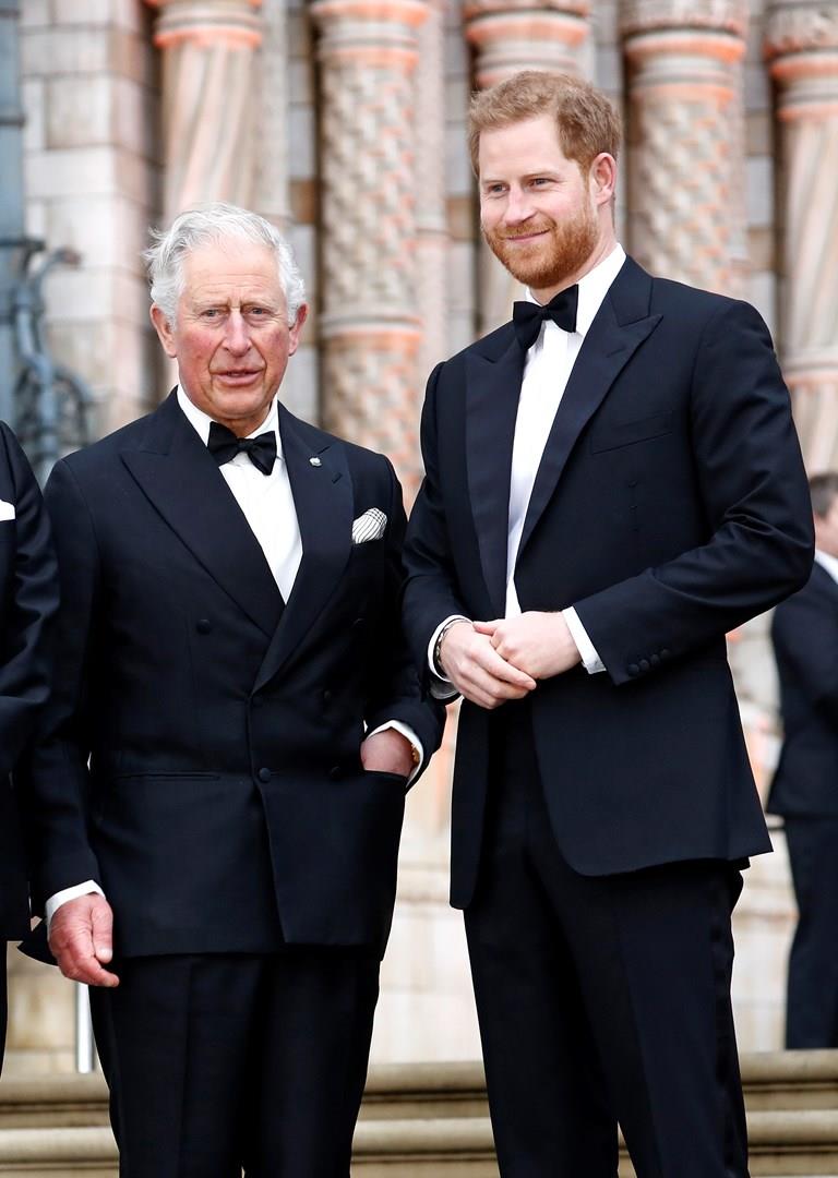 Lady Diana ricorda la nascita del Principe Harry e la delusione di Carlo Il Principe Carlo e il Principe Harry