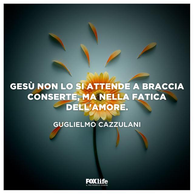 Frase Cazzulani Fiore in primo piano