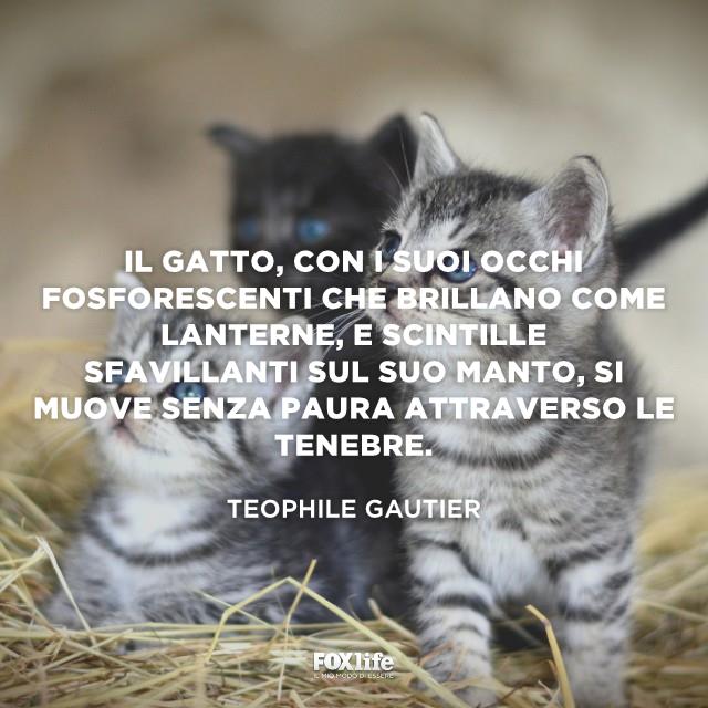 Frase Gautier Micetti sulla paglia